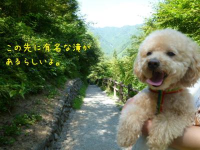 良い写真