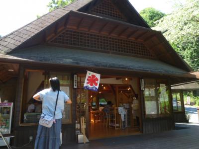 ランチはここ