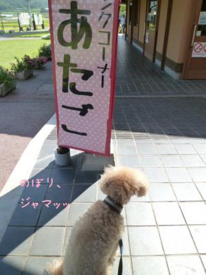 のぼり