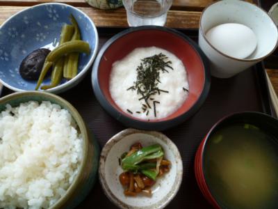 とろろ定食
