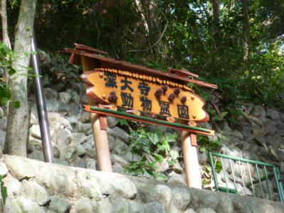 霊園