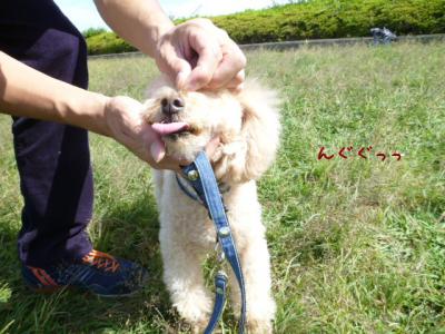 とって