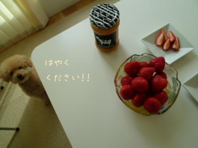 ダイジェスト7