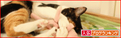 banner-52.gif
