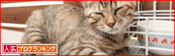 banner-54.gif