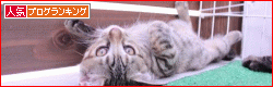 banner-55.gif