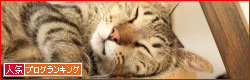 banner-56.gif