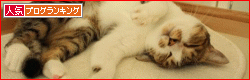 banner-58.gif