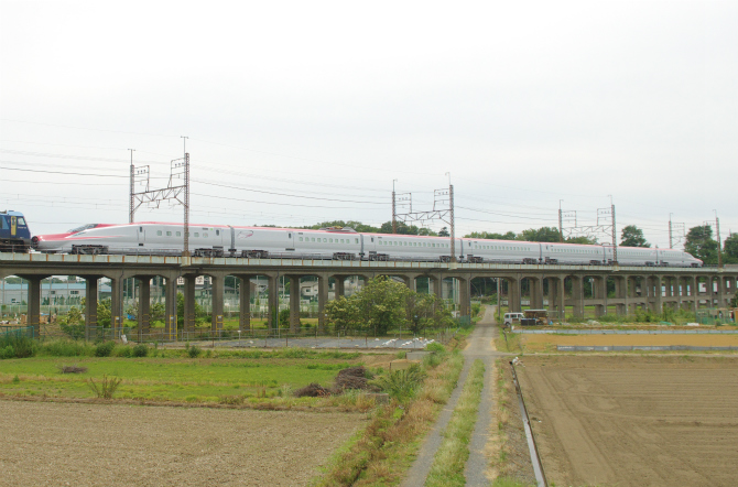 IMGP0108.jpg