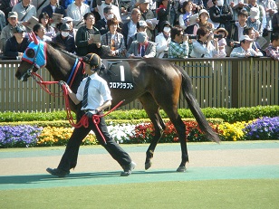 パドック登場