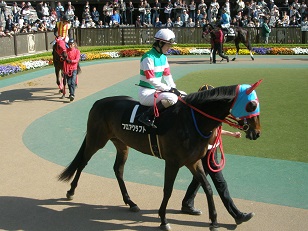 松山騎手騎乗
