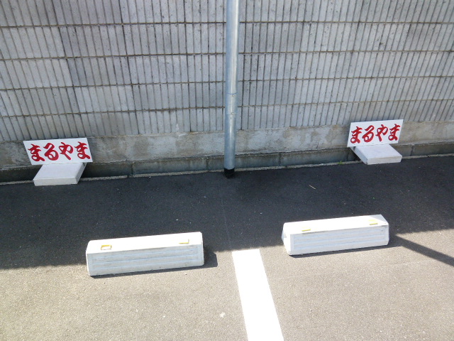 P1010329.jpg