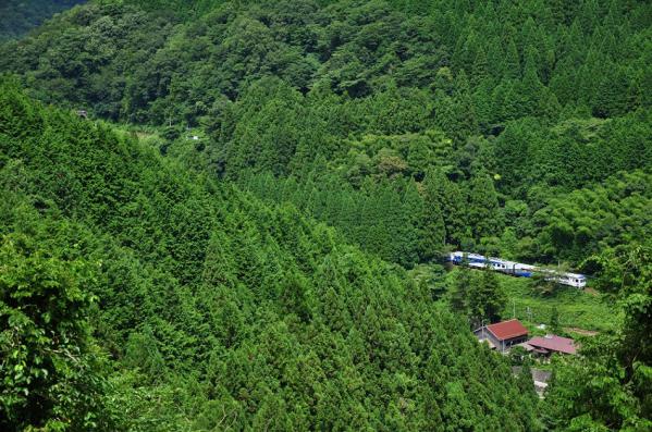 2012年8月24日 JR西日本木次線 出雲坂根 12系スハフ13-801+スハフ12-801+DE15-2558