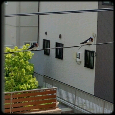fc2blog_2012052800205736f.jpg