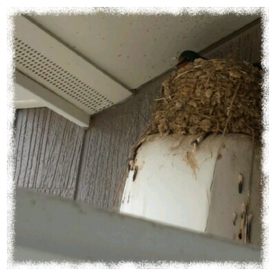 fc2blog_20120615162623f6f.jpg