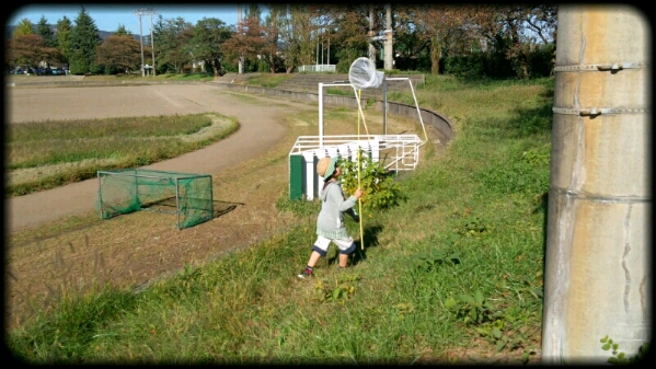 fc2blog_20121104232601fe4.jpeg