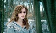 ハーマイオニー・グレンジャーHermione Granger