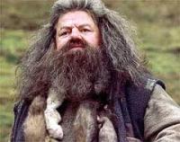 ルビウス・ハグリッドRubeus Hagrid