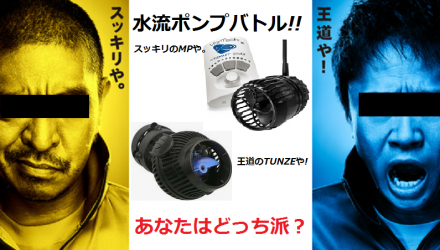 バトル