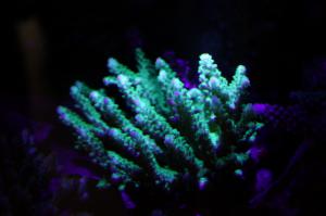 DSC00390.jpg