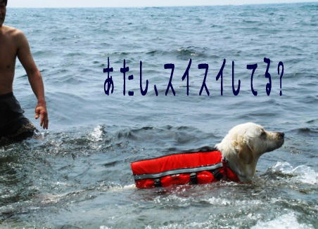 ブログ2