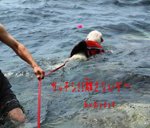 ブログ4