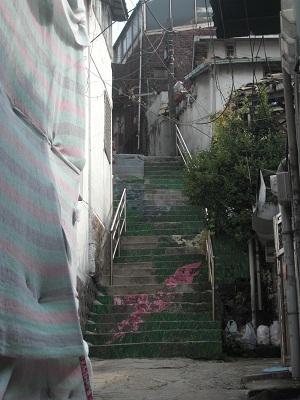 CIMG5536.jpg