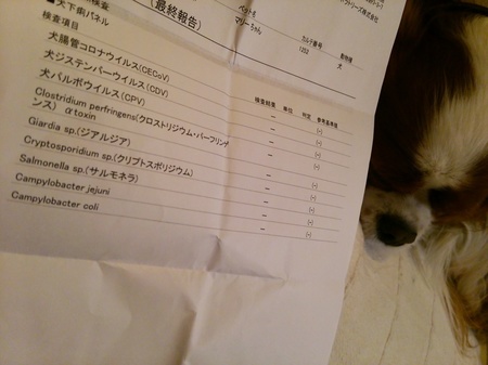 2014102719575166d.jpg