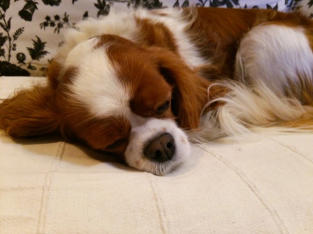 20141027195751bc8.jpg