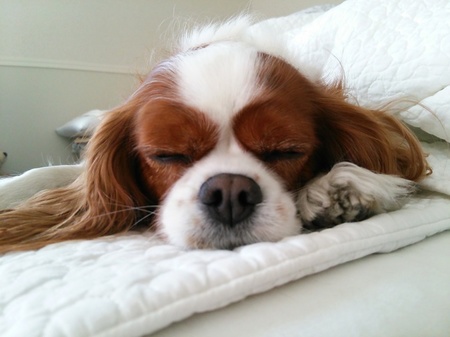 20141030001535bd7.jpg