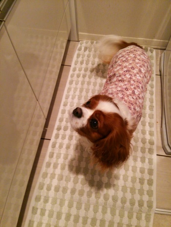 20141030234344da0.jpg