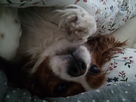 20141031234933e4b.jpg