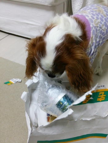 201411012213496b6.jpg