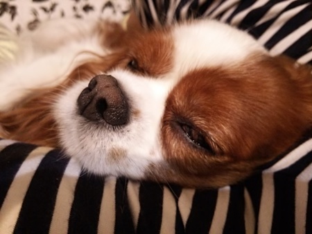 2014110422401815e.jpg