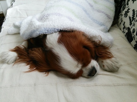 20141105171953f7d.jpg