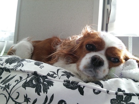 2014111222441036f.jpg