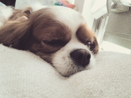 20141115234254dcd.jpg