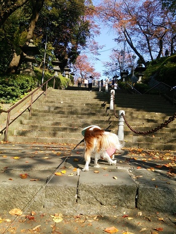 20141124210205116.jpg