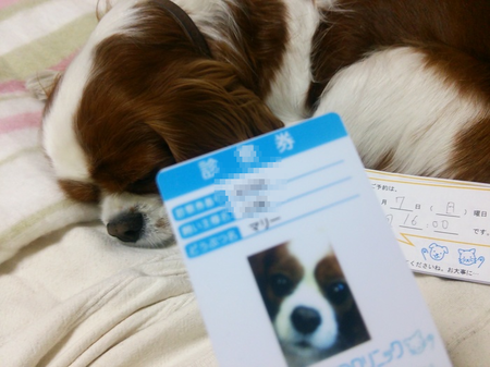 20141125101407a8f.png