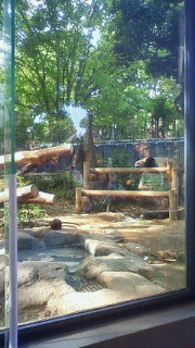 201205131444000.jpg