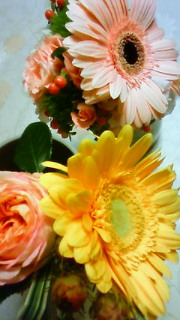 201211121725000.jpg