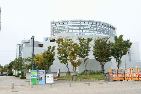 DSC_5460.jpg
