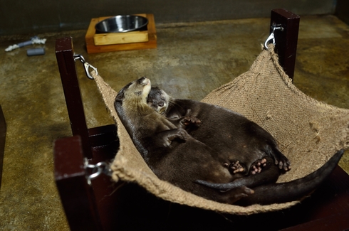 DSC_5465.jpg
