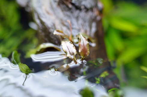 DSC_5724.jpg