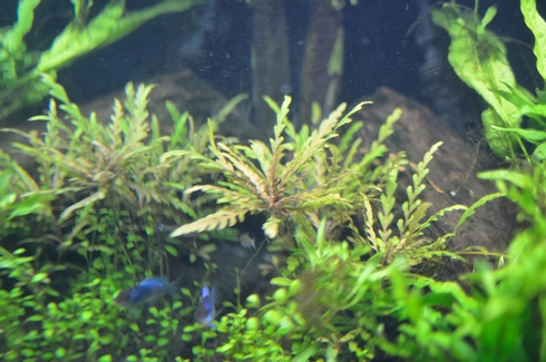 DSC_5732.jpg