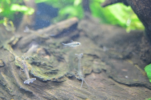 DSC_5733.jpg