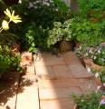 P1010175_convert_20120508192549 (2)