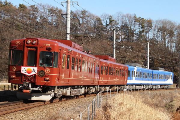 50003.jpg