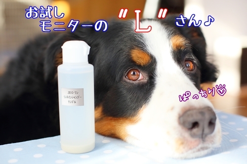 7G6A8286z.jpg
