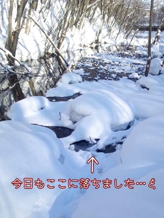 DSC_9568.jpg